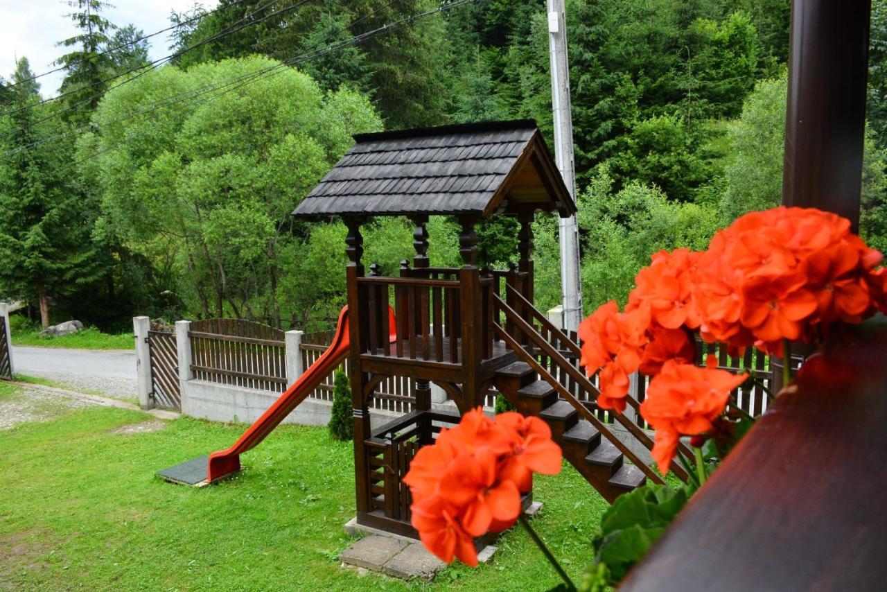 Cabana Cascada Cailor Hotel Borşa Buitenkant foto