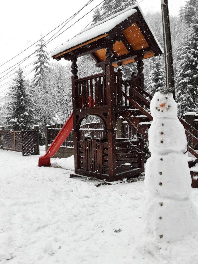Cabana Cascada Cailor Hotel Borşa Buitenkant foto