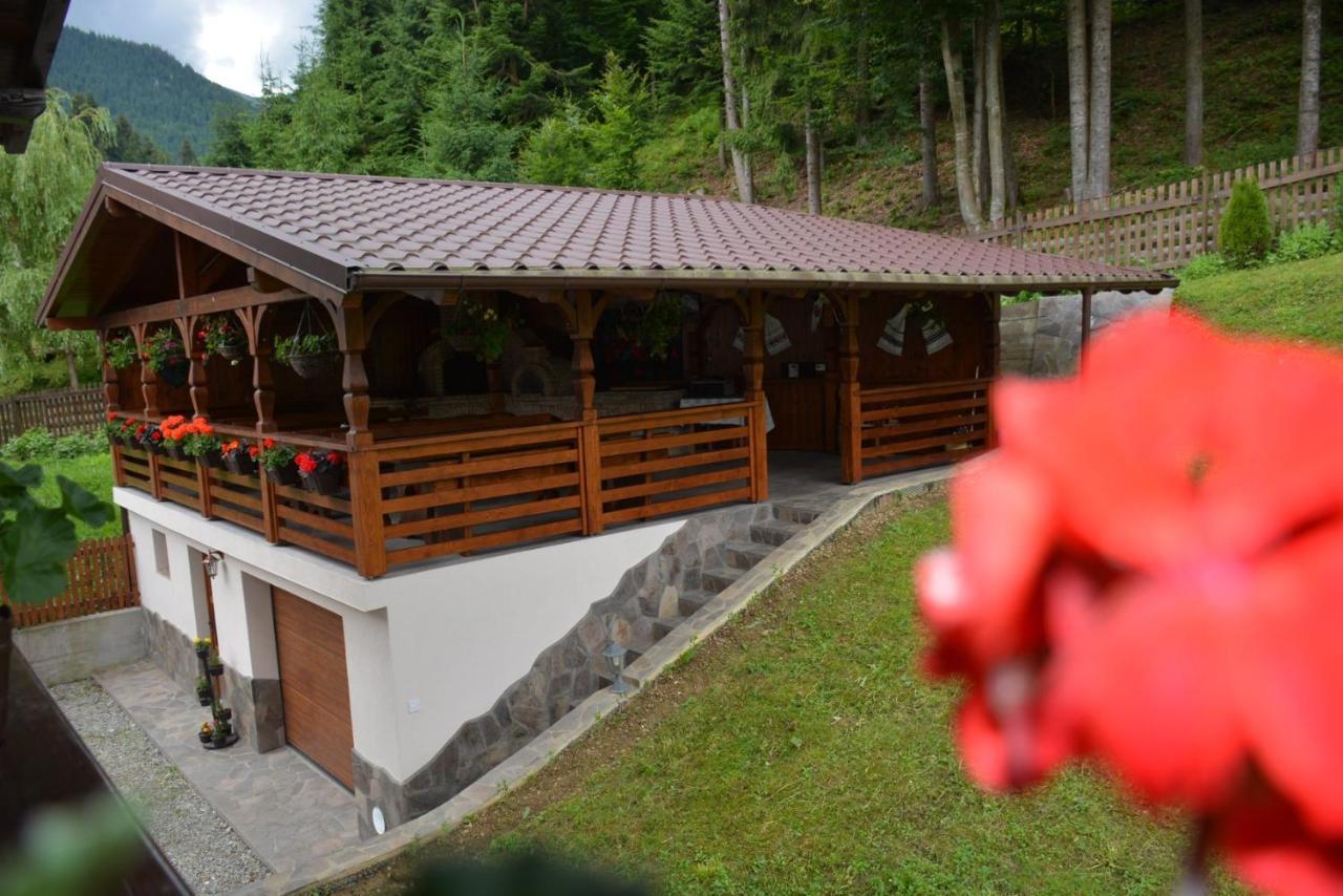 Cabana Cascada Cailor Hotel Borşa Buitenkant foto