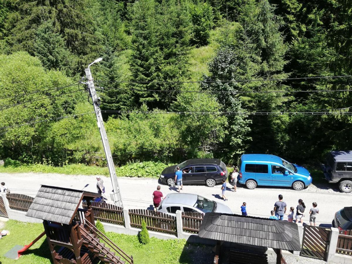 Cabana Cascada Cailor Hotel Borşa Buitenkant foto