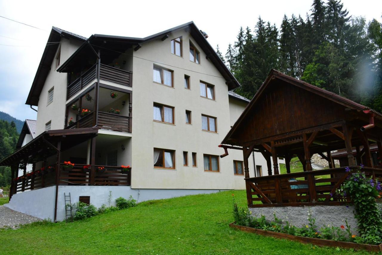 Cabana Cascada Cailor Hotel Borşa Buitenkant foto