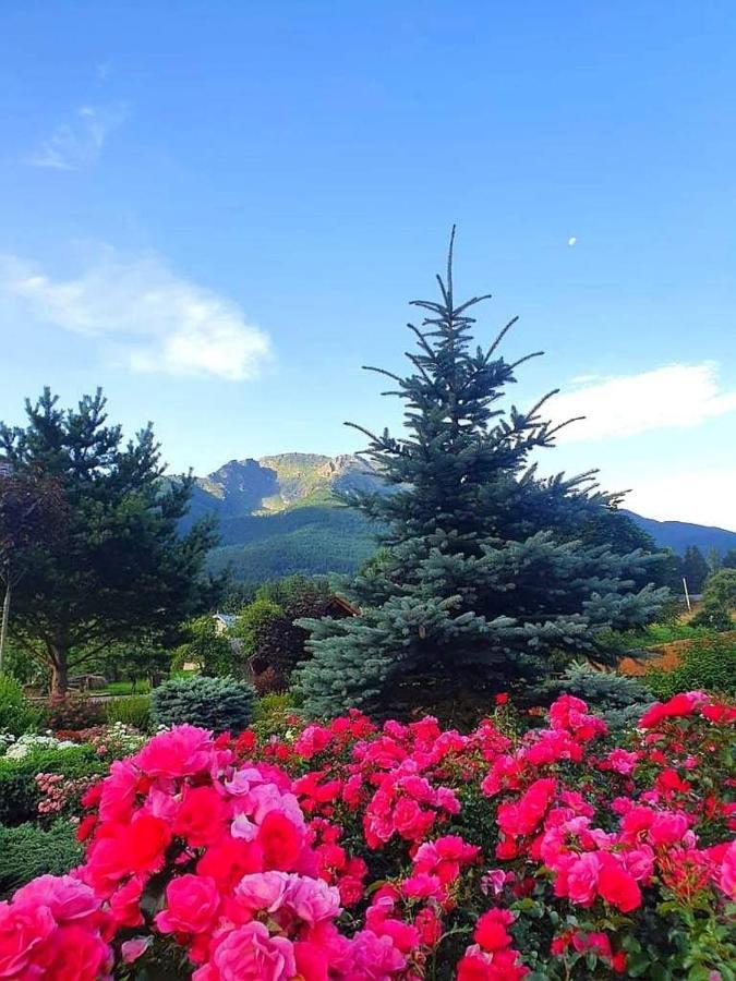 Cabana Cascada Cailor Hotel Borşa Buitenkant foto