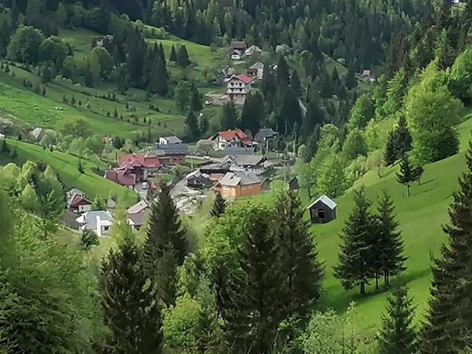 Cabana Cascada Cailor Hotel Borşa Buitenkant foto