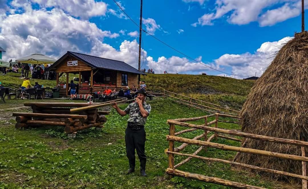 Cabana Cascada Cailor Hotel Borşa Buitenkant foto