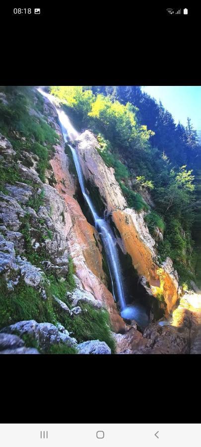 Cabana Cascada Cailor Hotel Borşa Buitenkant foto