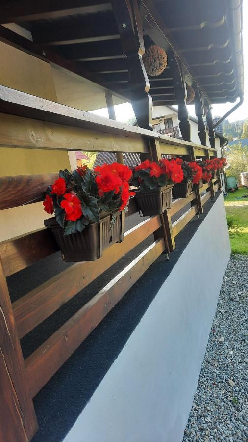 Cabana Cascada Cailor Hotel Borşa Buitenkant foto